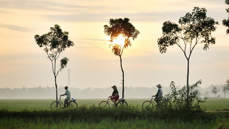 IVS three person riding bikes on green grass field