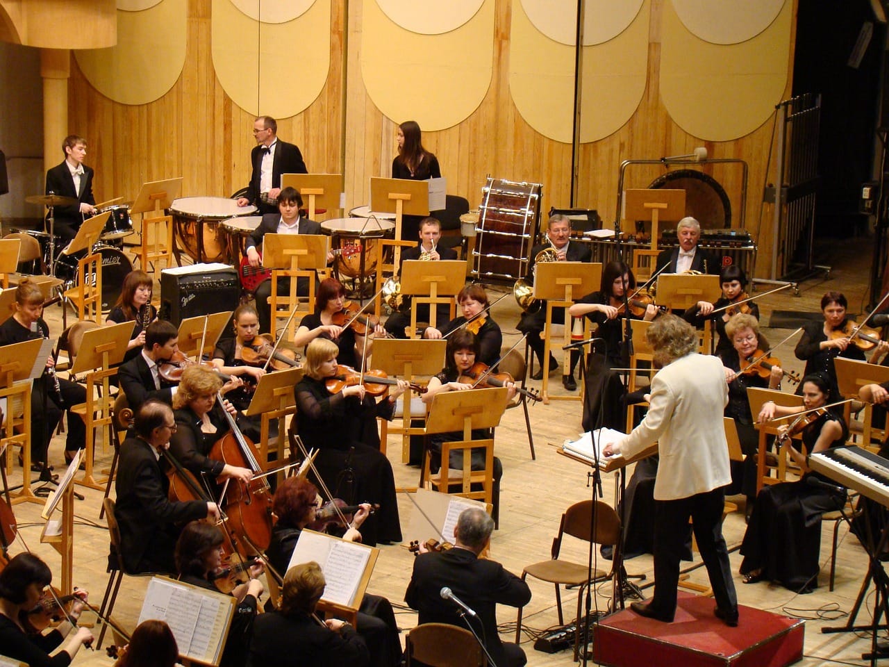 IVS Orchestra