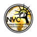 INS NYC logo